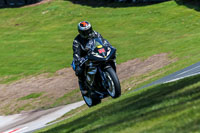 Oulton-Park-20th-March-2020;PJ-Motorsport-Photography-2020;anglesey;brands-hatch;cadwell-park;croft;donington-park;enduro-digital-images;event-digital-images;eventdigitalimages;mallory;no-limits;oulton-park;peter-wileman-photography;racing-digital-images;silverstone;snetterton;trackday-digital-images;trackday-photos;vmcc-banbury-run;welsh-2-day-enduro